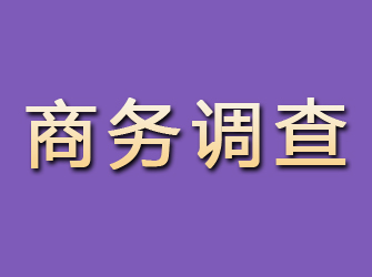 波密商务调查